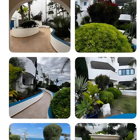 Apartment Perlazul
