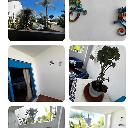 Perlazul Appartement
